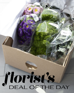 Florist's Deal of the Day Flower Arrangement